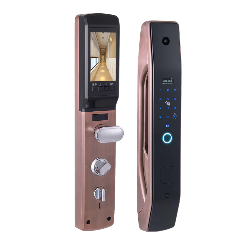 Smart Home Door Lock - HanDaily Easy to Install Intelligent Electronic