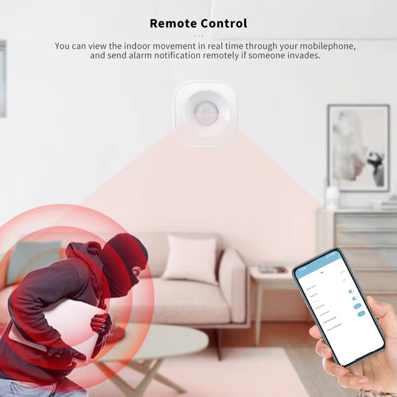 Tuya ZigBee/WiFi PIR Motion Se - Smart Home Google Assistant recension och pris
