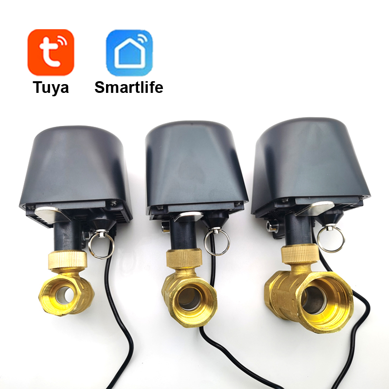 Tuya WiFi or Zigbee Water Valv - Smart Home Google Assistant recension och pris